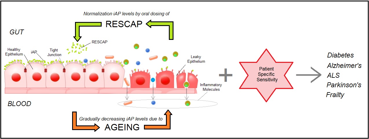 The working of RESCAP